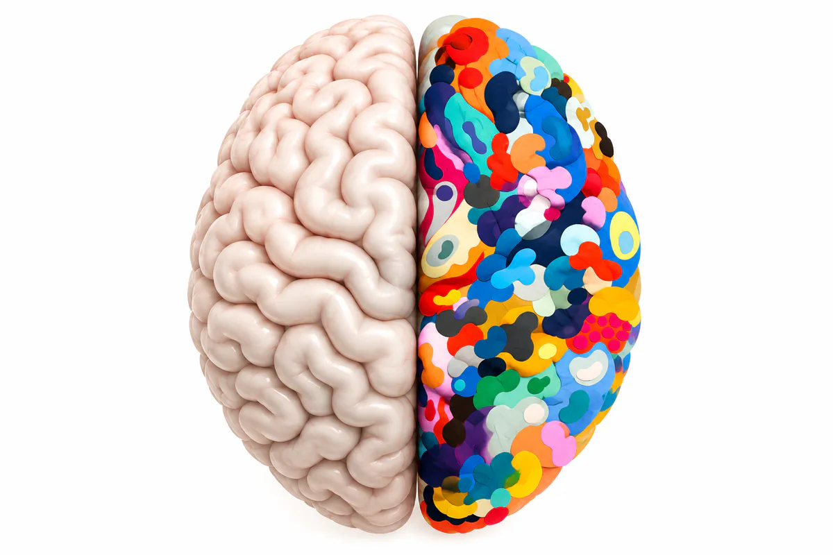 Brain illustration with one anatomical hemisphere and one colorful abstract hemisphere